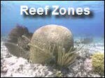 Filename=Coral_Reef_Zones.mp4
Filesize=4599KiB
Dimensions=320x240
Date added=Sep 14, 2017 Coral_Reef_Zones.mp4