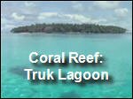Filename=Coral_Reefs2.mp4
Filesize=15821KiB
Dimensions=320x240
Date added=Sep 14, 2017 Coral_Reefs2.mp4