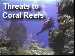 Filename=Coral_Reefs_Threats2.mp4
Filesize=47367KiB
Dimensions=320x240
Date added=Sep 14, 2017 Coral_Reefs_Threats2.mp4