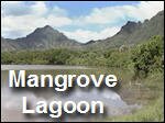 Filename=Mangrove_Lagoon__A_Tropical_Estuary.mp4
Filesize=6517KiB
Dimensions=320x240
Date added=Sep 14, 2017 Mangrove_Lagoon__A_Tropical_Estuary.mp4