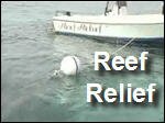 Filename=Reef_Relief.mp4
Filesize=4605KiB
Dimensions=320x240
Date added=Sep 14, 2017 Reef_Relief.mp4