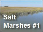 Filename=Salt_Marshes1.mp4
Filesize=14257KiB
Dimensions=320x240
Date added=Sep 14, 2017 Salt_Marshes1.mp4