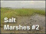 Filename=Salt_Marshes2.asx
Filesize=6983KB
Dimensions=0x0
Date added=Nov 09, 2006 Salt_Marshes2.asx