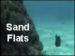 Filename=Sand_Flats.mp4
Filesize=15384KiB
Dimensions=320x240
Date added=Sep 14, 2017 Sand_Flats.mp4
