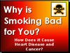 Filename=Smoking_CaitlinH04.ppt Filesize=589KiB Dimensions=0x0 Date added=Nov 09, 2006 Smoking_CaitlinH04.ppt