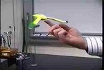Filename=bird.mp4 Filesize=576KiB Dimensions=320x240 Date added=Sep 15, 2017 bird.mp4